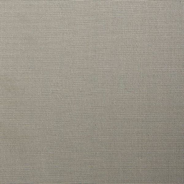 Picture of Canvas Silver